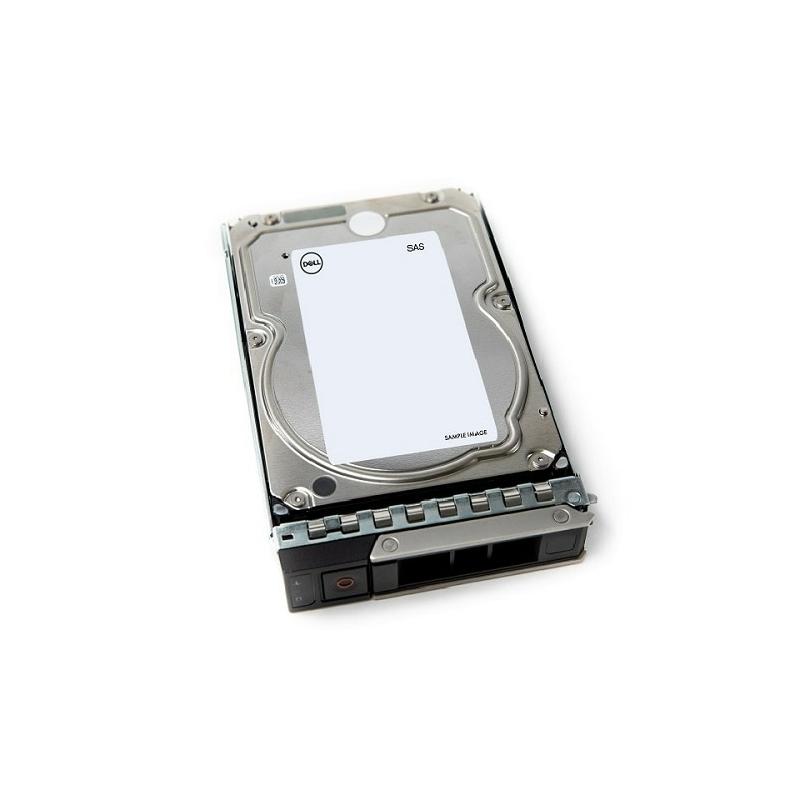 DELL 161-BCJW disque dur 12 To 7200 tr/min 3.5" NL-SAS