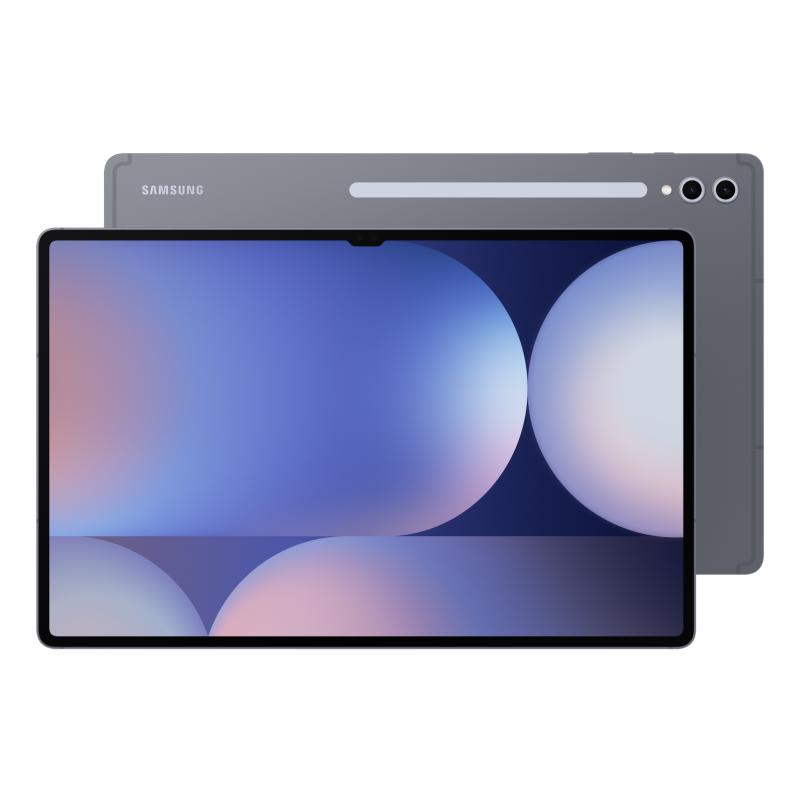 Samsung Galaxy Tab S10+ SM-X820N 256 Go 31,5 cm (12.4") 12 Go Wi-Fi 6E (802.11ax) Gris