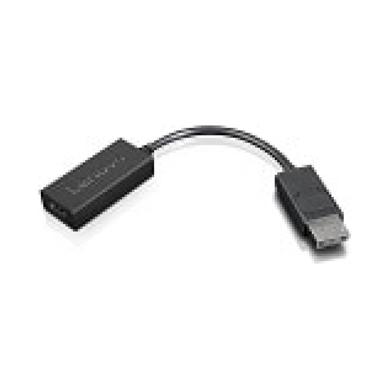 Lenovo 4X90R61023 câble vidéo et adaptateur 0,225 m DisplayPort HDMI Type A (Standard) Noir