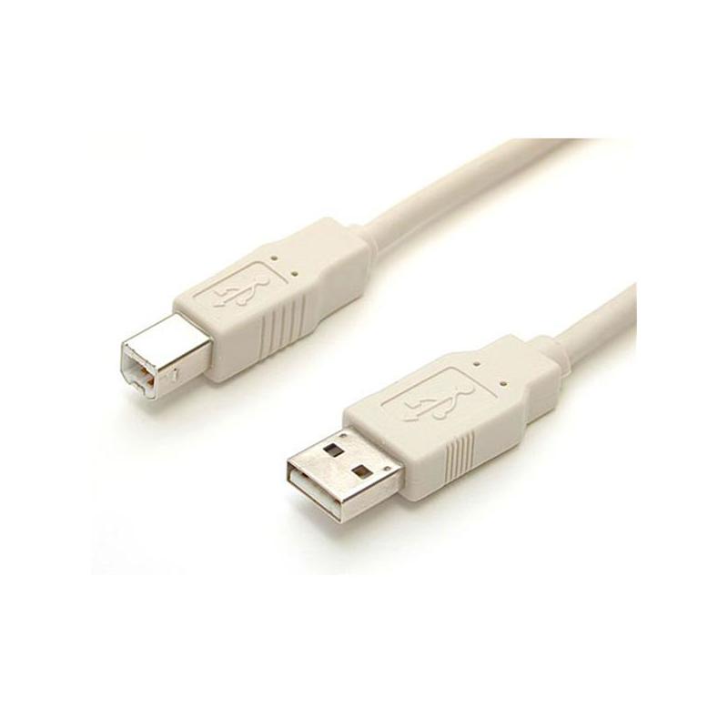 StarTech.com 10 ft. Fully Rated USB Cable A-B câble USB 3,05 m Beige