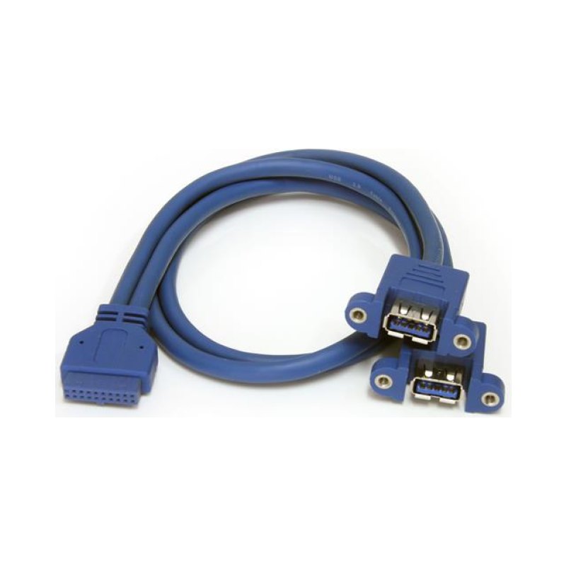 StarTech.com Câble USB 3.0 (5Gbps) 2 ports monté sur panneau – Câble USB A vers adaptateur carte mère F/F