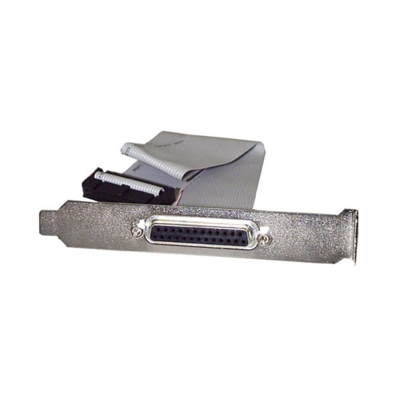 StarTech.com Nappe port parallèle DB25 femelle vers connecteur carte mère IDC 26 broches de 40 cm