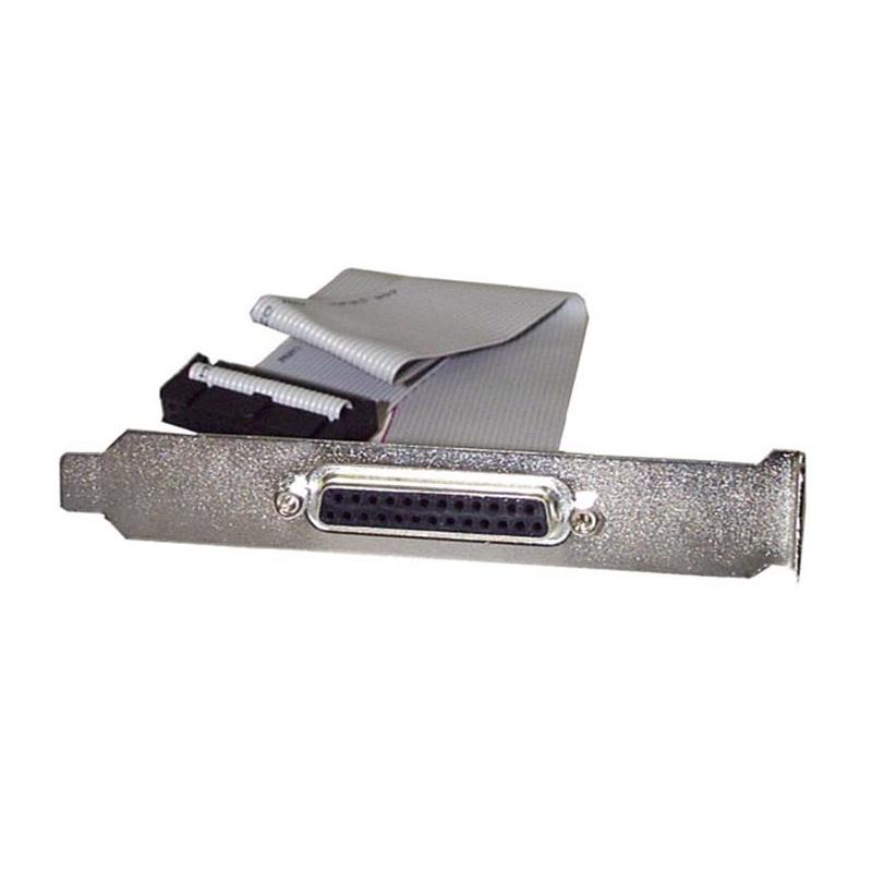 StarTech.com Nappe port parallèle DB25 femelle vers connecteur carte mère IDC 26 broches de 40 cm