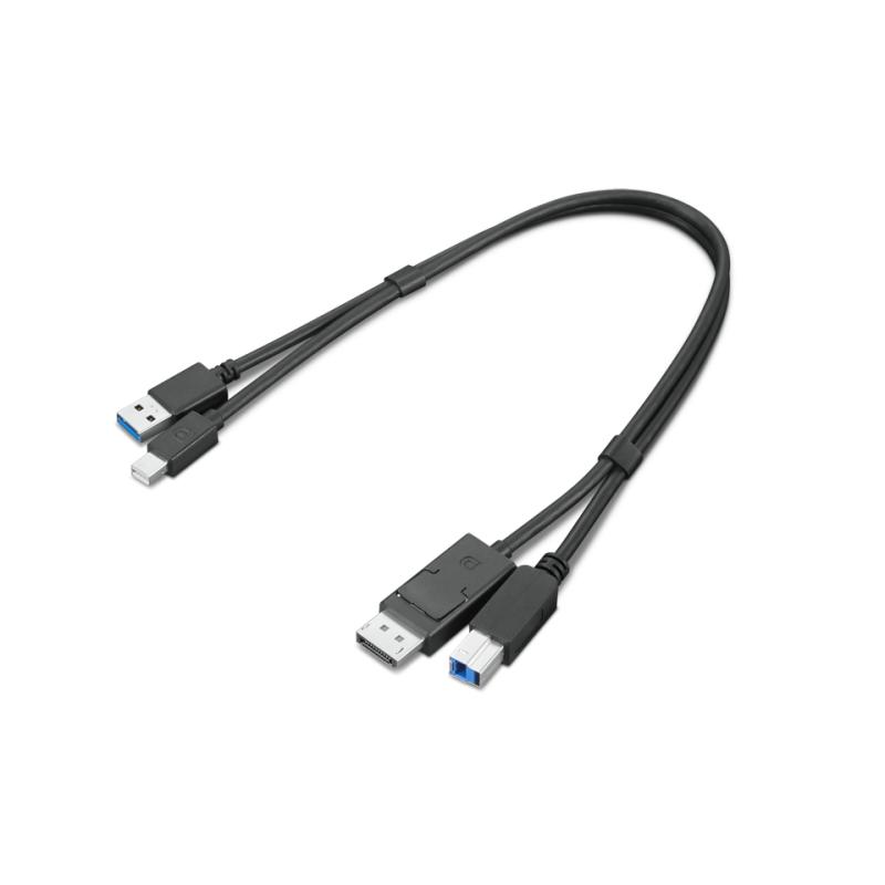Lenovo 4X91D11453 câble USB USB 3.2 Gen 1 (3.1 Gen 1) 0,43 m USB A USB B Noir