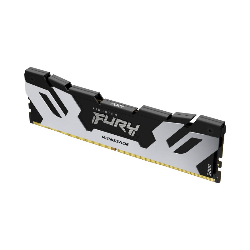 Kingston Technology FURY DIMM DDR5 CL38 16 Go 7 200 MT/s Renegade Argent XMP