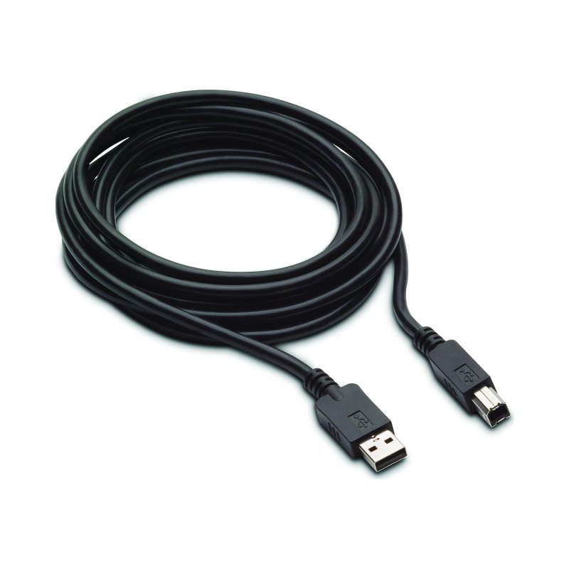 HP Câble DP et USB B vers A 300 cm pour L7016t L7014t et L7010t
