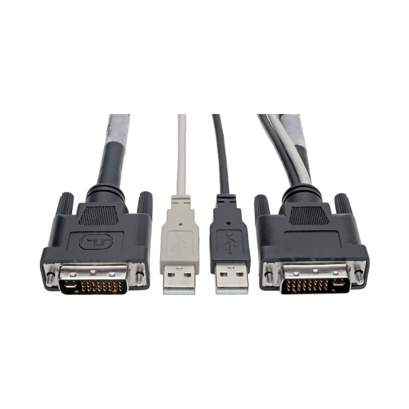 10Ft Dvi With Usb-A M Cbl