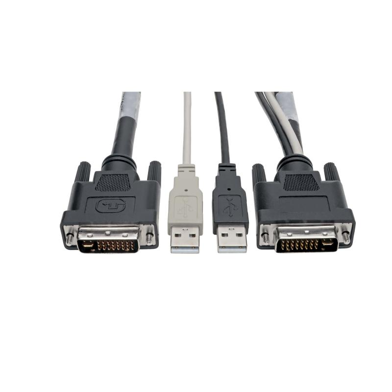 10Ft Dvi With Usb-A M Cbl
