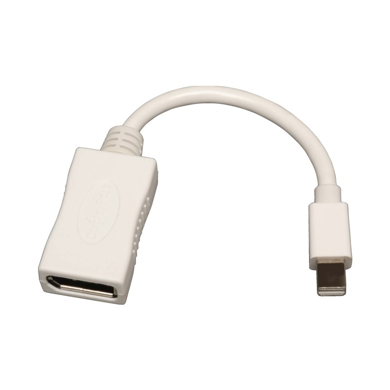 6In Mini-Dp/Dp M/F Adapter Cbl