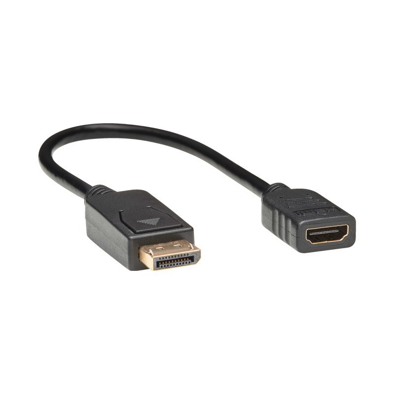 Dp/Hdmi Adapter 1Ft