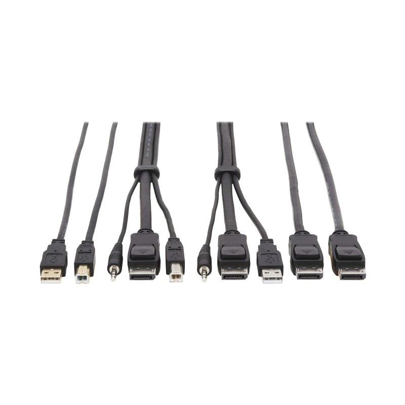 Dual Dp Kvm Cable 10 Ft