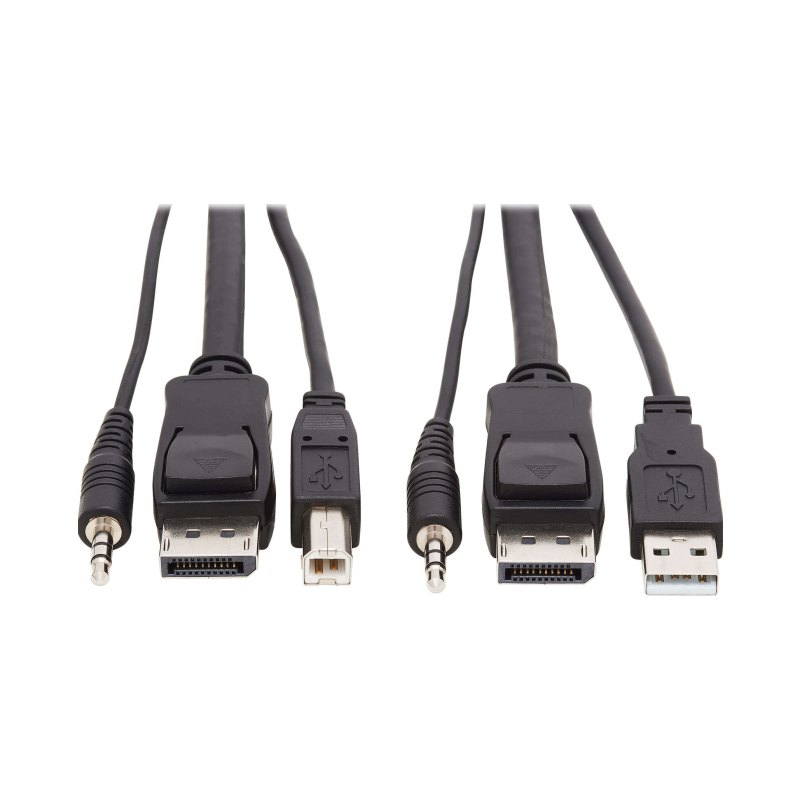 Dp Kvm Cable 10 Ft