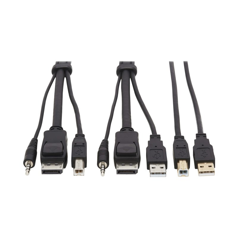 Dp Kvm Cbl Kit Usb/Aud 6 Ft