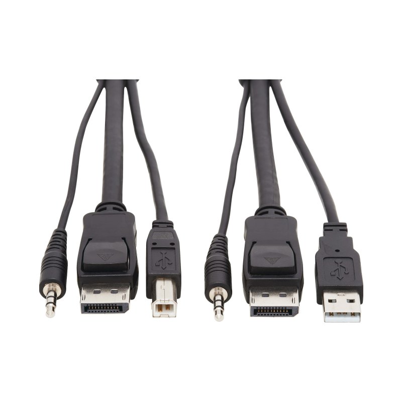 Dp Kvm Cbl 6Ft