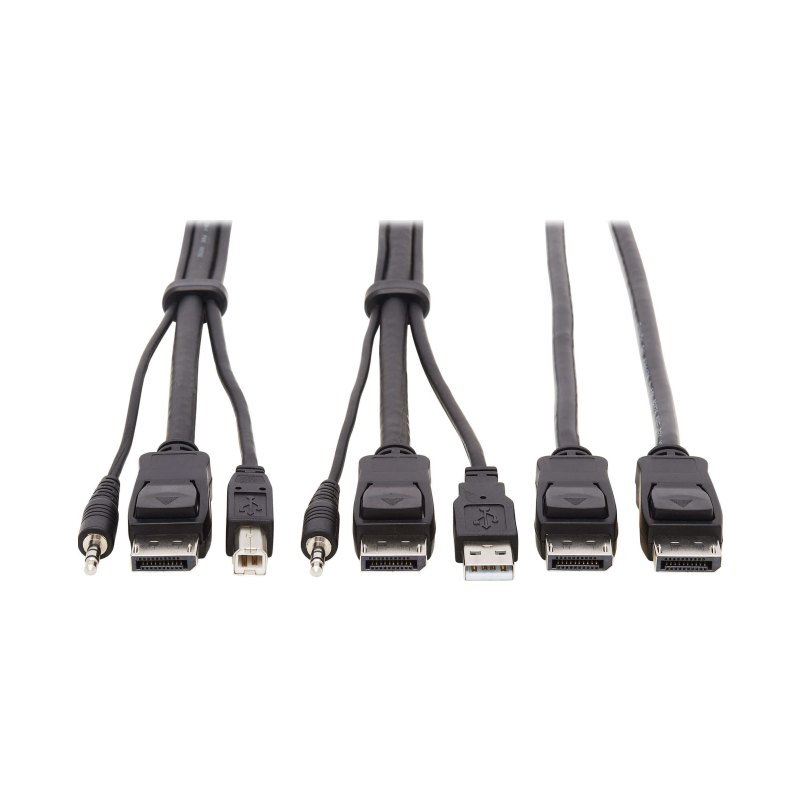 Dp Kvm Cable 10 Ft