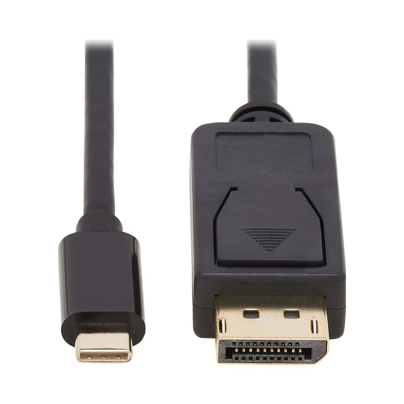 10Ft Usb-C Dp Bi-Direct Cbl
