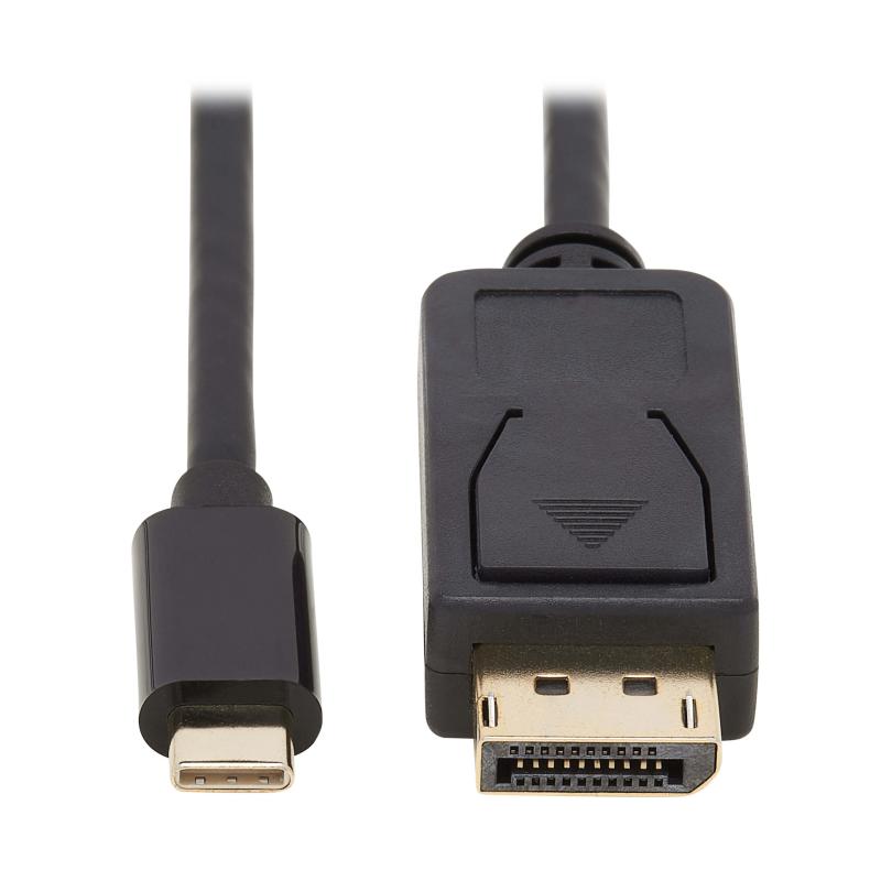 10Ft Usb-C Dp Bi-Direct Cbl