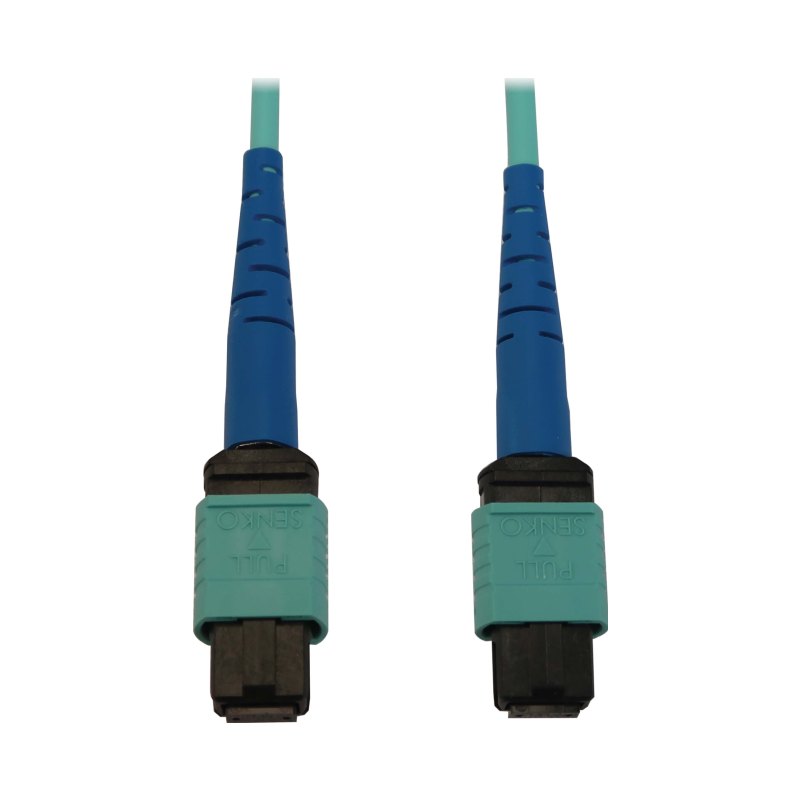 N846B-02M-24-P 100Gmtp/Mpocb