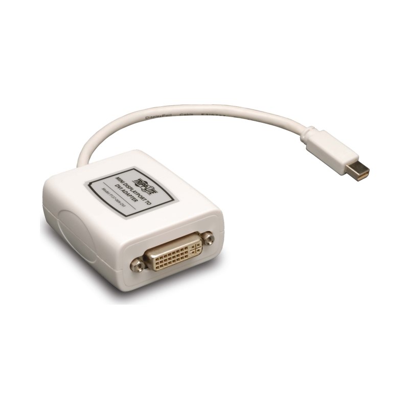 6In Mini Dsplayprt/Dvi Adapter