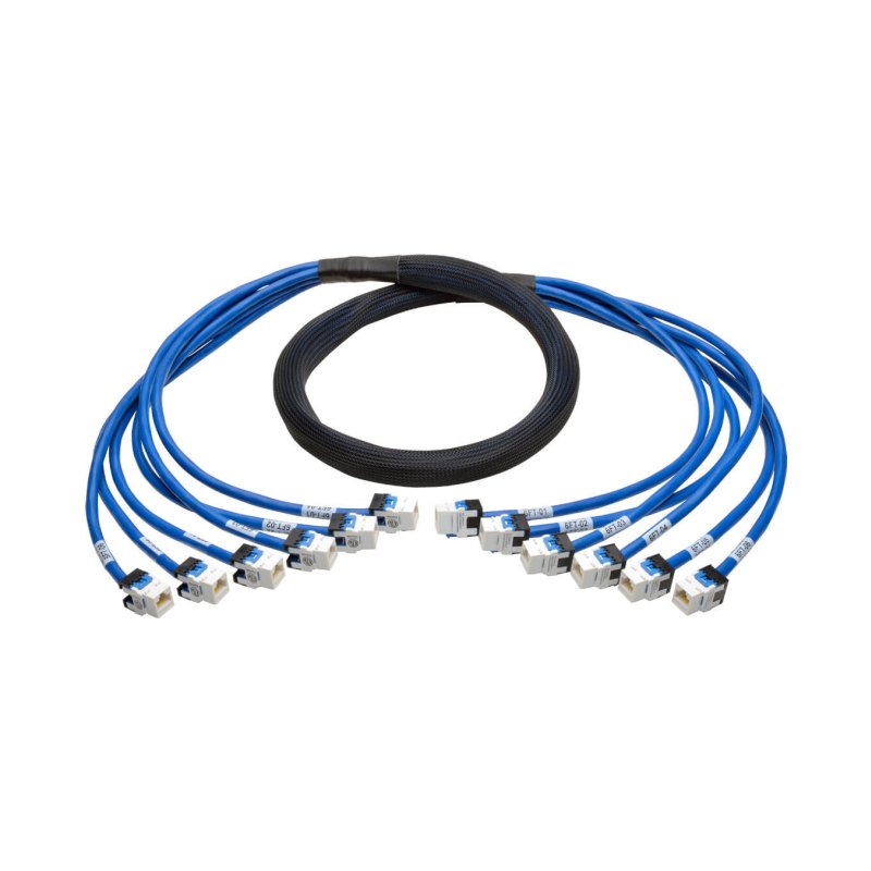 6Ft Aug Cat6/Cat6A Pre Trmntd Copper Trunk Bndl 6Xrj45 F/F