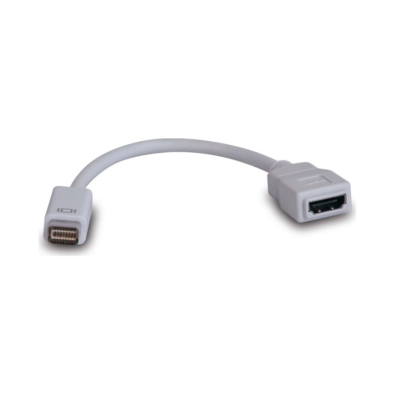 Mini-Dvi To Hdmi Female Adaptr