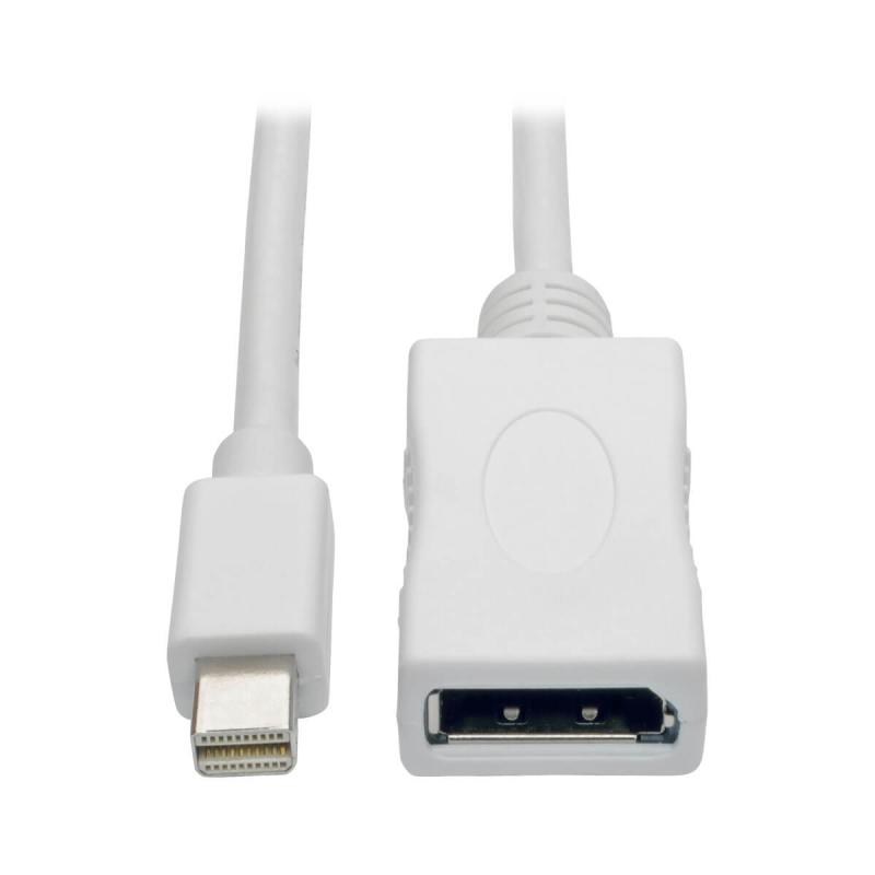 10Ft Mini Dp-Dp M/F Adpt Cbl