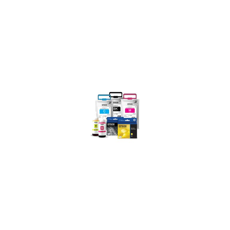 Epson R12 cartouche d'encre Original Magenta