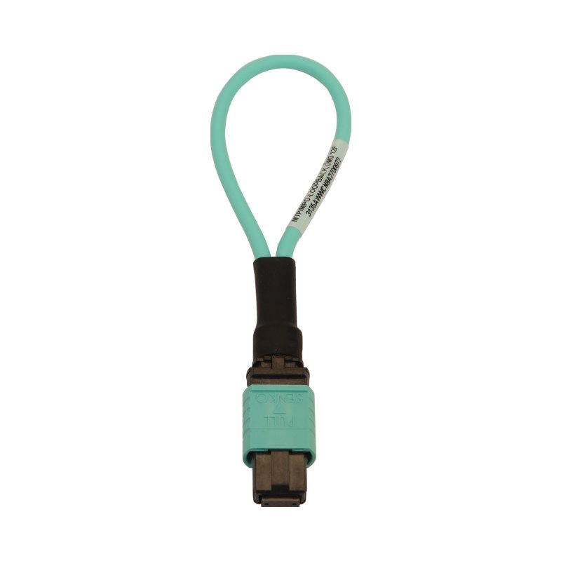 N844B-Loop-12F 50/125Lpbkfbr