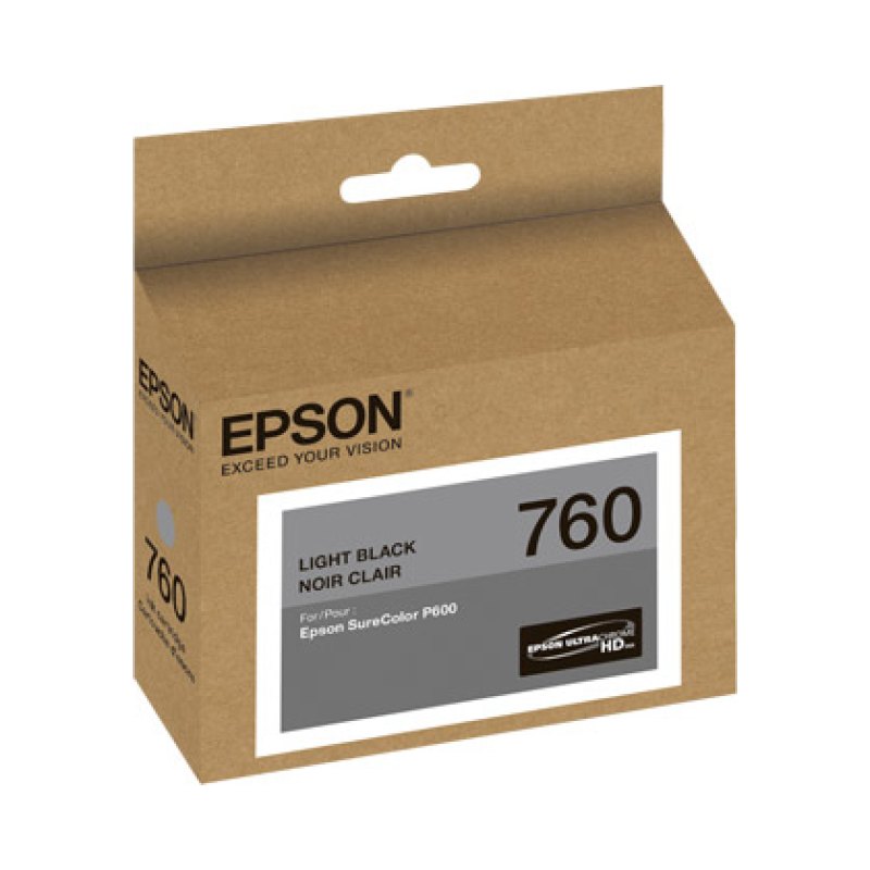 Epson 760 cartouche d'encre Original Noir pâle
