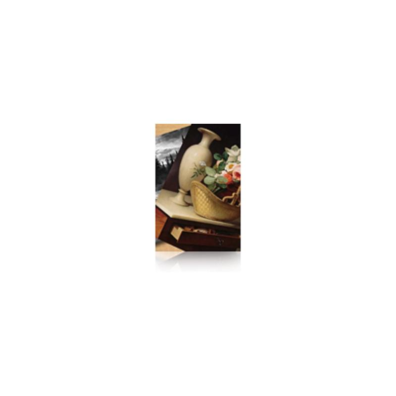 Epson Premium Luster Photo Paper, 60" x 30,5 m, 260g/m2