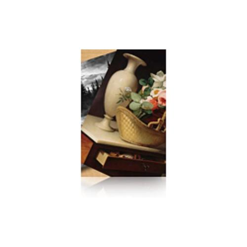 Epson Premium Luster Photo Paper, 60" x 30,5 m, 260g/m2