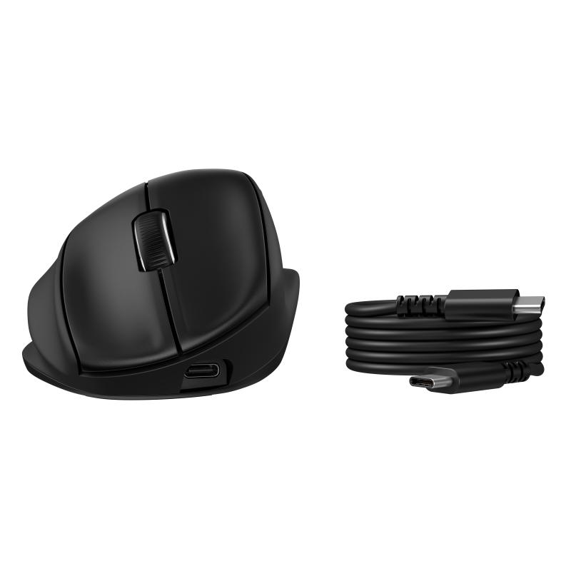 HP Souris ergonomique inclinable 725M