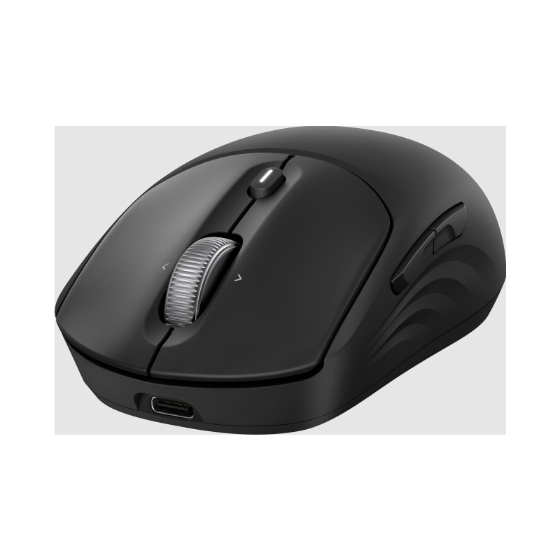 HP 705 Rechargeable Wireless Mouse