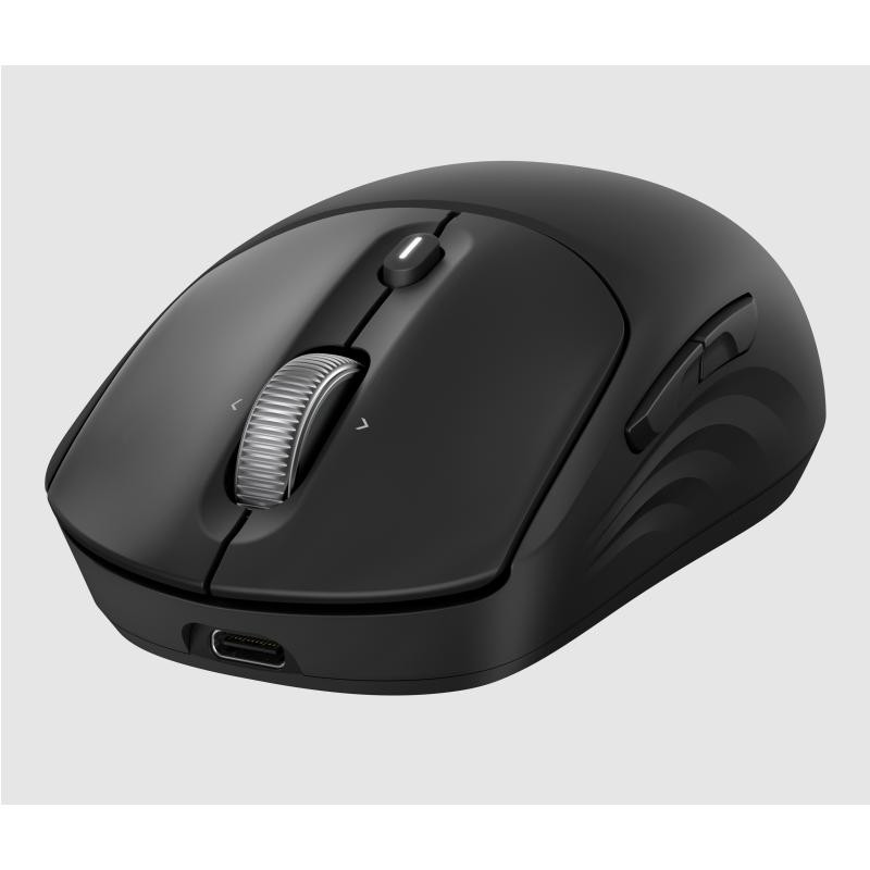 HP Souris sans fil rechargeable 705